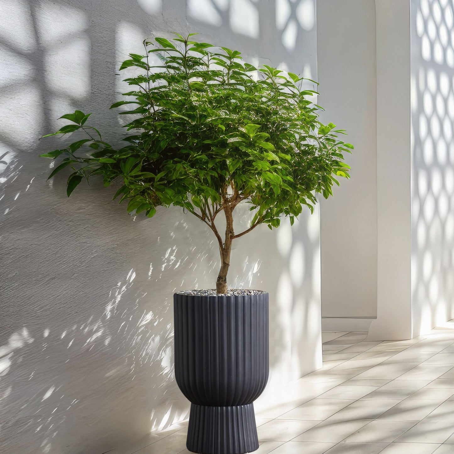 Plant Pot Graphite Grey 34 x 34 x 56 Round Pinstriped IndoorOutdoor