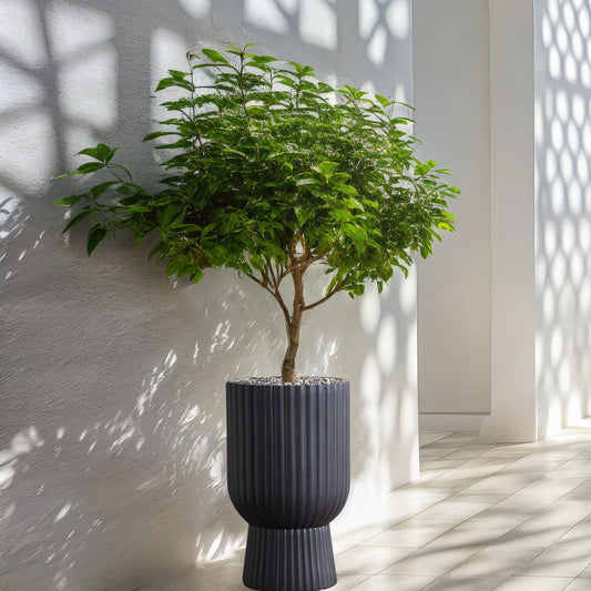 Plant Pot Graphite Grey 34 x 34 x 56 Round Pinstriped IndoorOutdoor