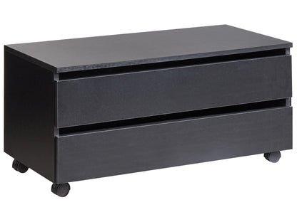 Black Bathroom Cabinet With Wheels And Two Drawers