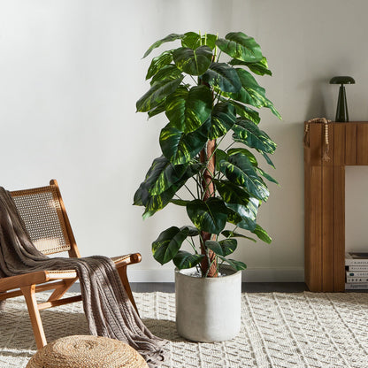 Dieffenbachia 152cm Artificial Potted Plant Green and Black