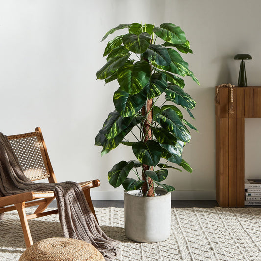 Dieffenbachia 152cm Artificial Potted Plant Green and Black