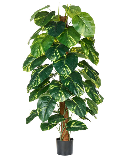 Dieffenbachia 152cm Artificial Potted Plant Green and Black