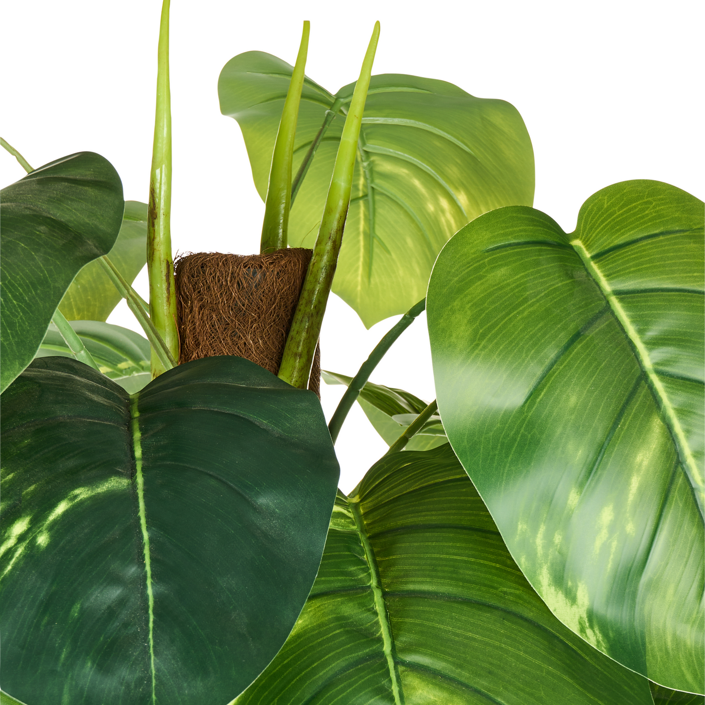 Dieffenbachia 152cm Artificial Potted Plant Green and Black