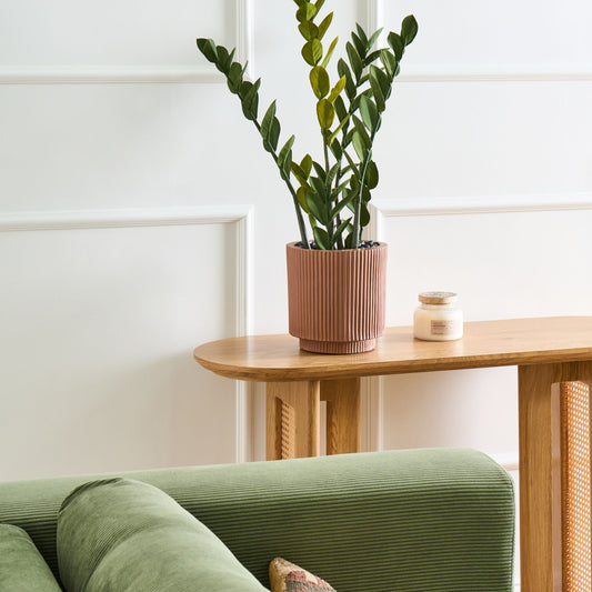 Plant 76cm Artificial Potted Zamiifolia Green And Black Decorative Indoor Accessory