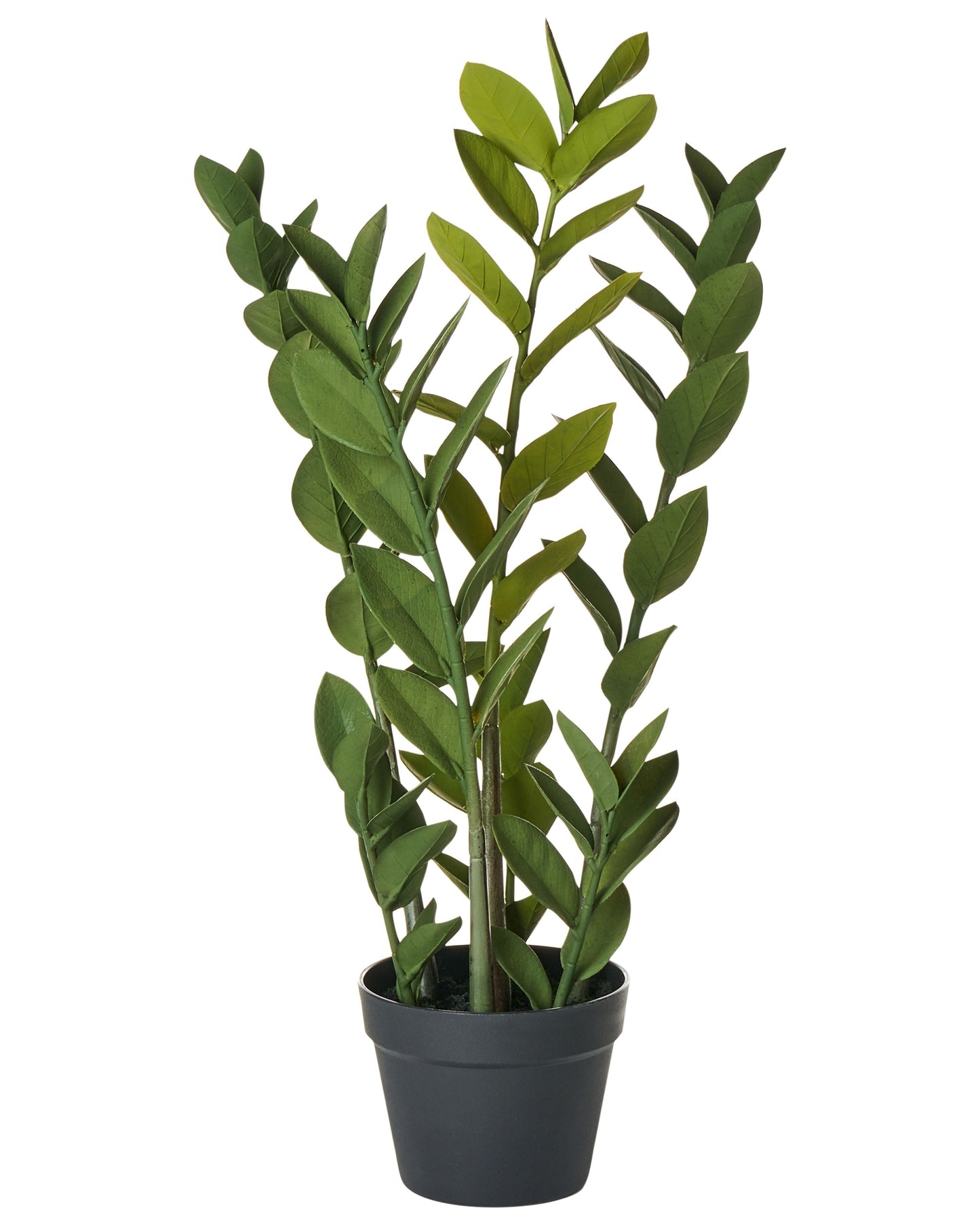 Plant 76cm Artificial Potted Zamiifolia Green And Black Decorative Indoor Accessory