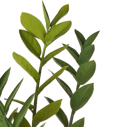 Plant 76cm Artificial Potted Zamiifolia Green And Black Decorative Indoor Accessory