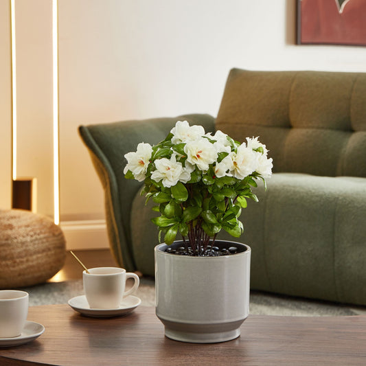 Artificial Potted Rhododendron Plant White Flowers 36cm