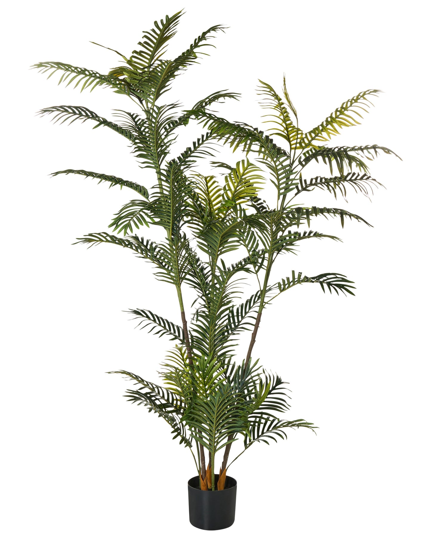 Artificial Potted Fan Palm Tree 180cm Tall Green and Black Leaves Indoor Decor