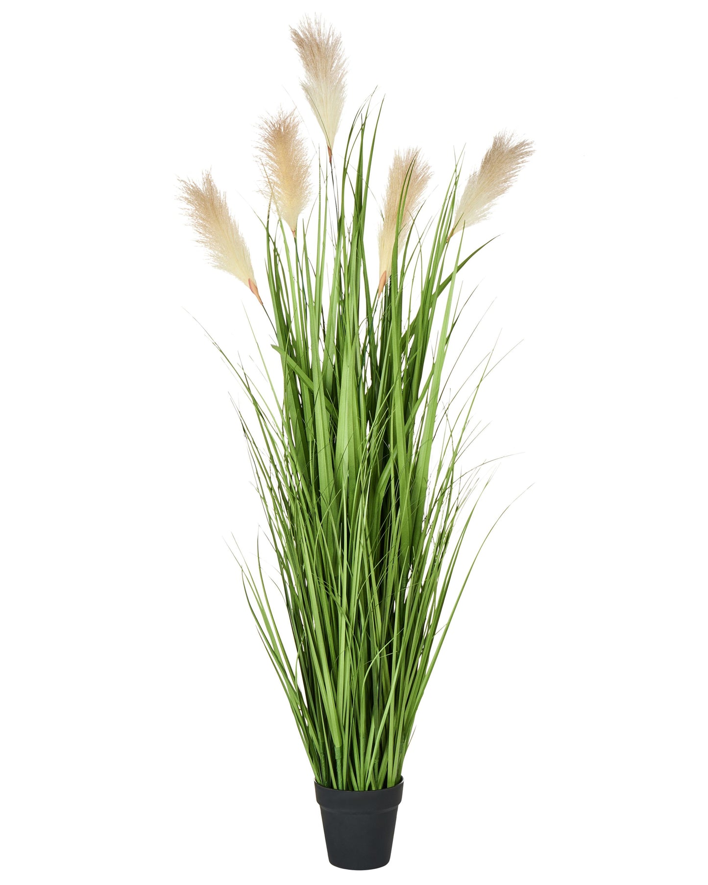 Artificial Potted Plant 130cm Pampas Grass Look With Green And Black Leaves